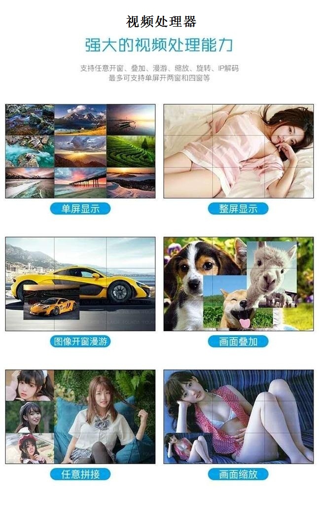 视频处置器